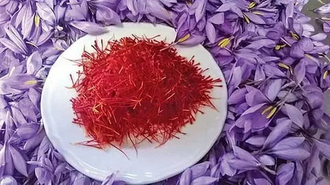 تصویر 4 از فروش زعفران آسیاب شده درجه یک + قیمت خرید به صرفه